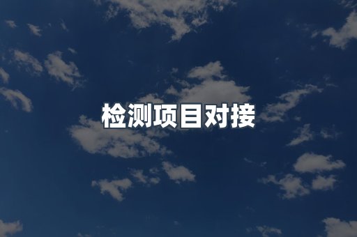 检测项目对接