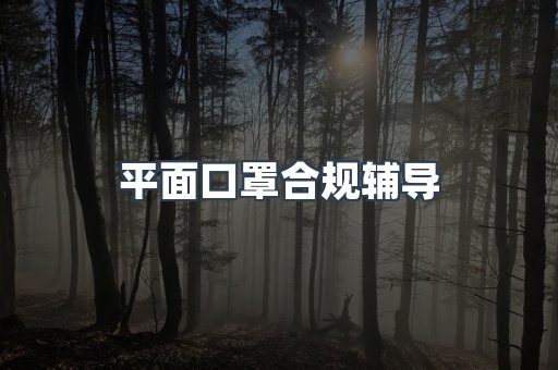 平面口罩合规辅导